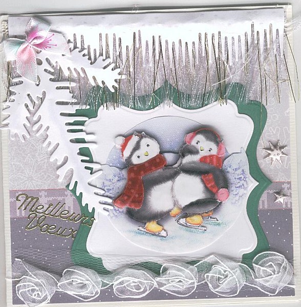pingouins-de-cayenne-hihi.jpg