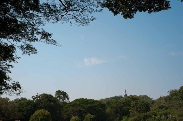 Si Satchanalai, wat Khao Suwan Khiri - Le chedi au milieu de la forêt