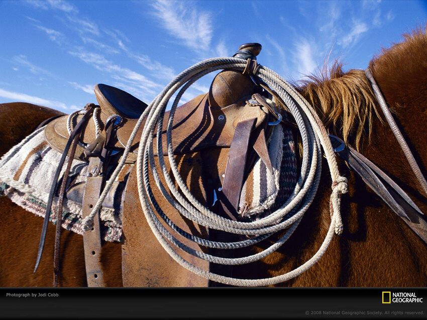 Images de la National Geographic