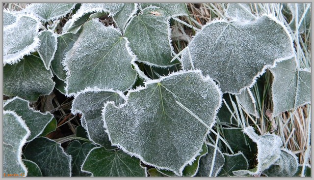 Givre......suite