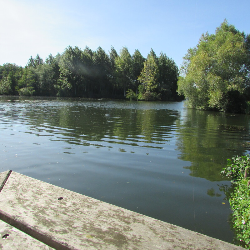                                    Camping Municipal