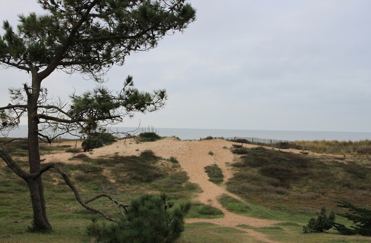 LES MOULINS DE LA COUR - LA GUÉRINIÈRE - ÎLE DE NOIRMOUTIER