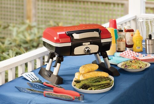 Small Gas Barbecue Grill - Buy Electric, Charcoal and Propane Grills At Best Prices