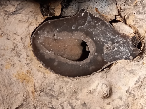 Châteaudun Les Grottes du Foulon Le centre historique Le château Vendredi 14 juin 2024