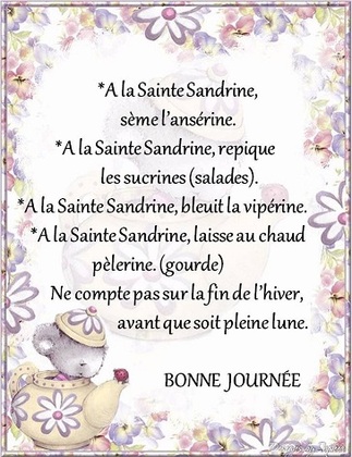 Dictons et Fête du jour Sandrine + grille prénom  !