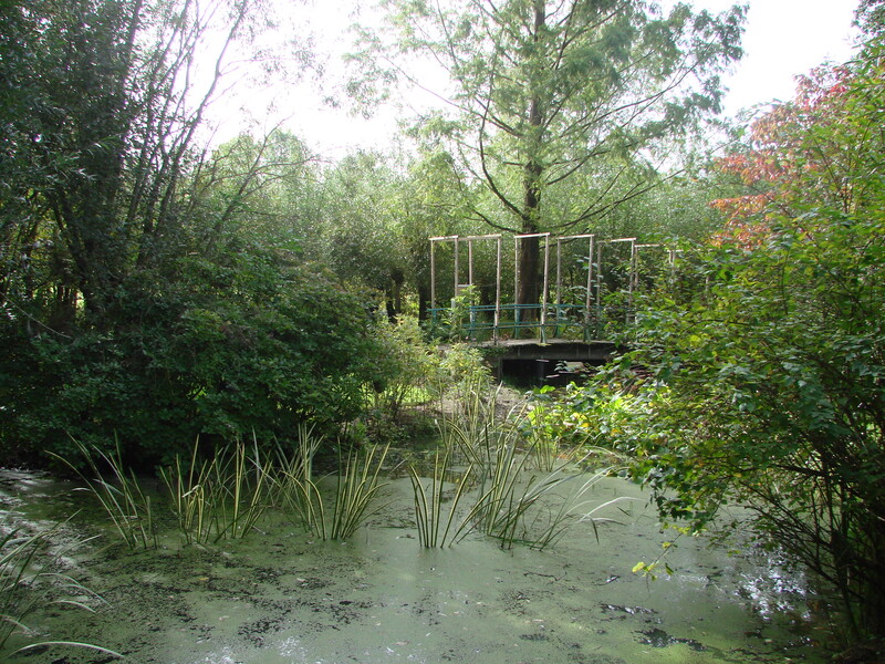 Lac de Bambois (2)