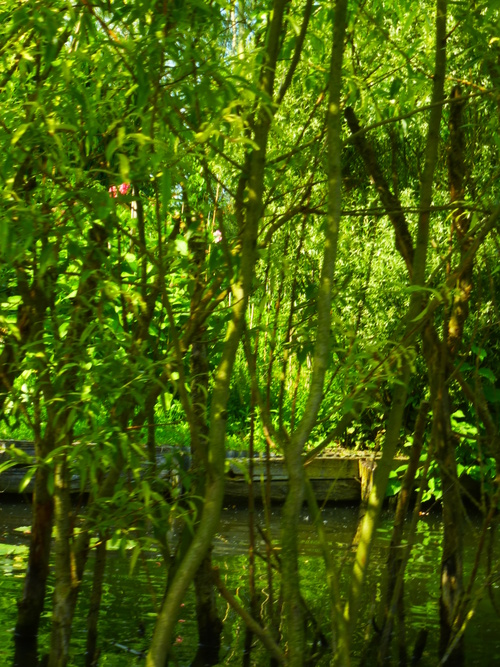   AMIENS    /     LES HORTILLONNAGES