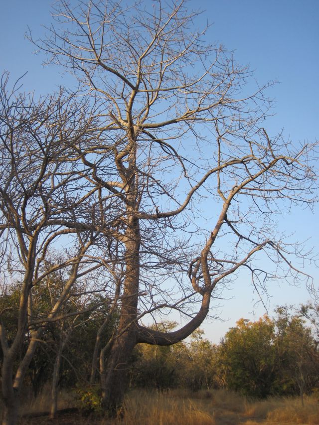 Bivouac en bordure du Parc