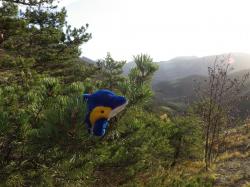 mascotte en montagne