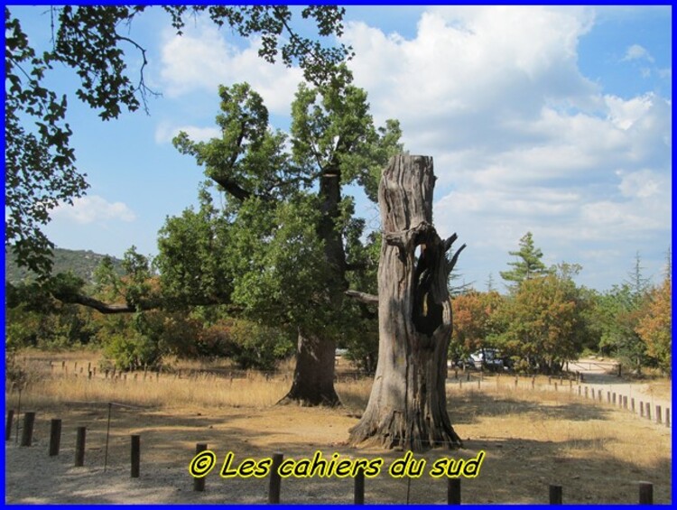 Ste Baume, la voie Gombault