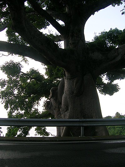 DSCN1658.JPG