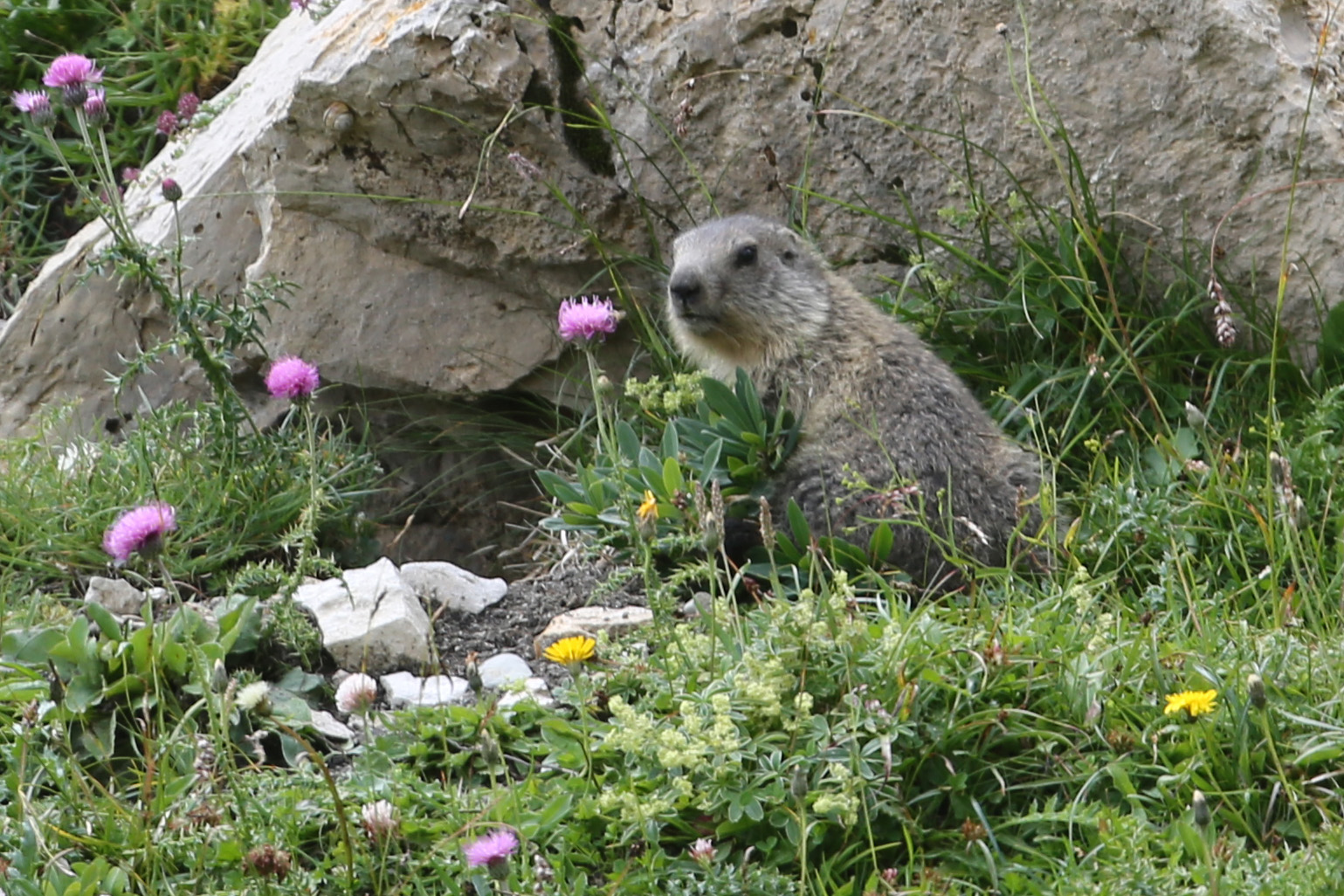 Test – Feelings (La pêche aux ressentis) – Plateau Marmots