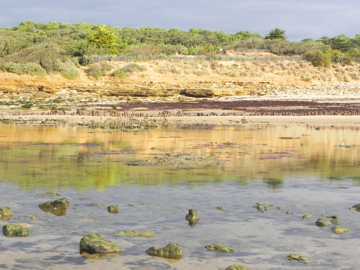 la plage de payre en Vendée