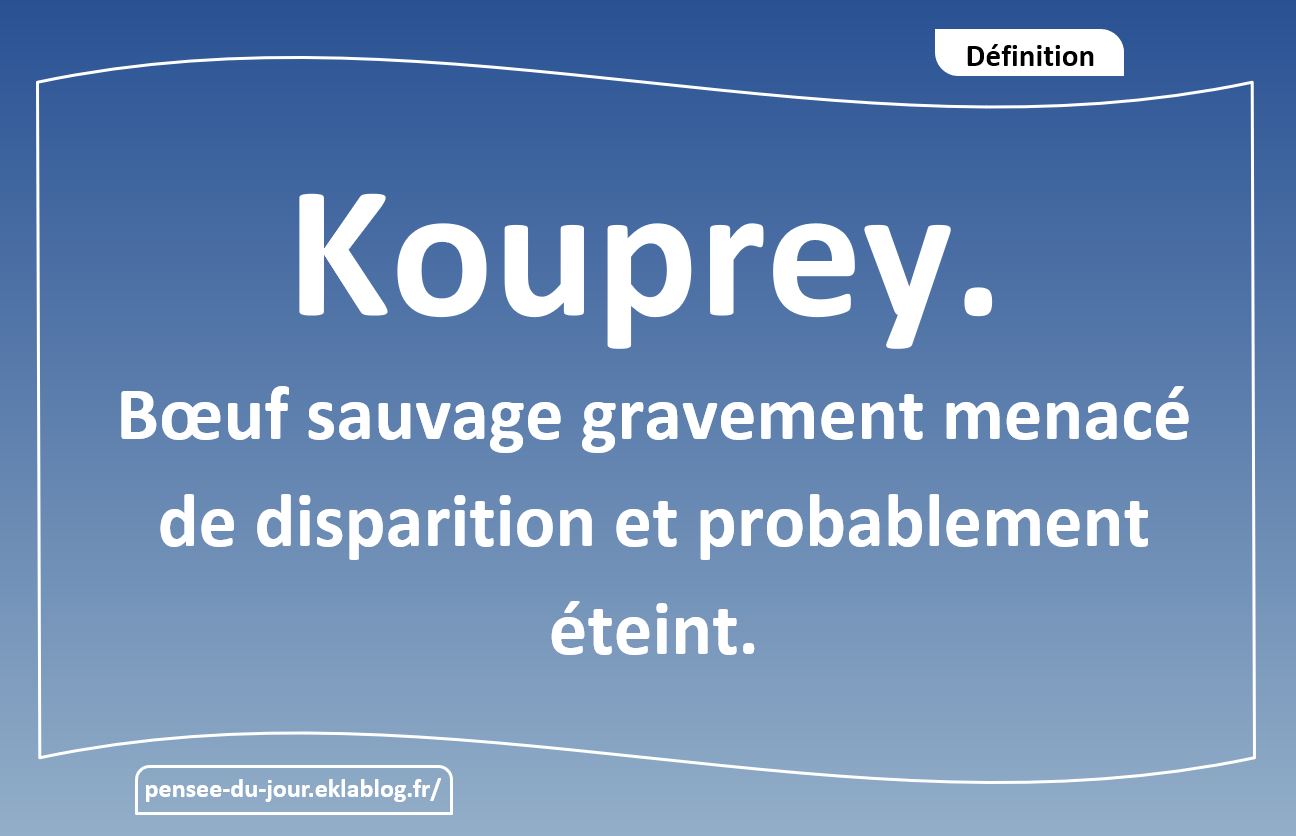 Kouprey
