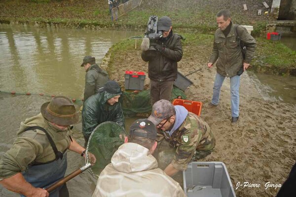 La vidange du lac de Marcenay, un reportage de Jean-Pierre Gurga (3ème partie)