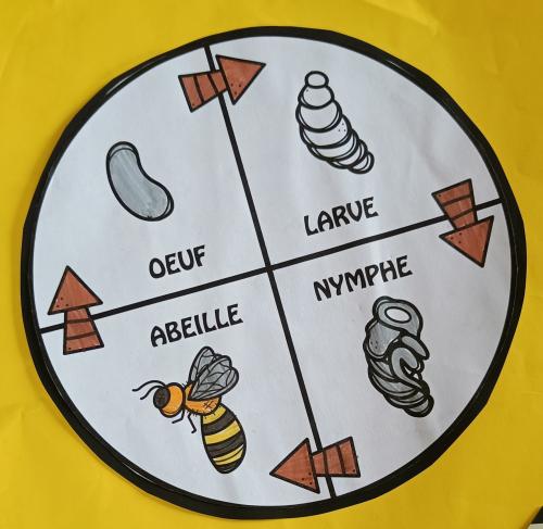 les abeilles