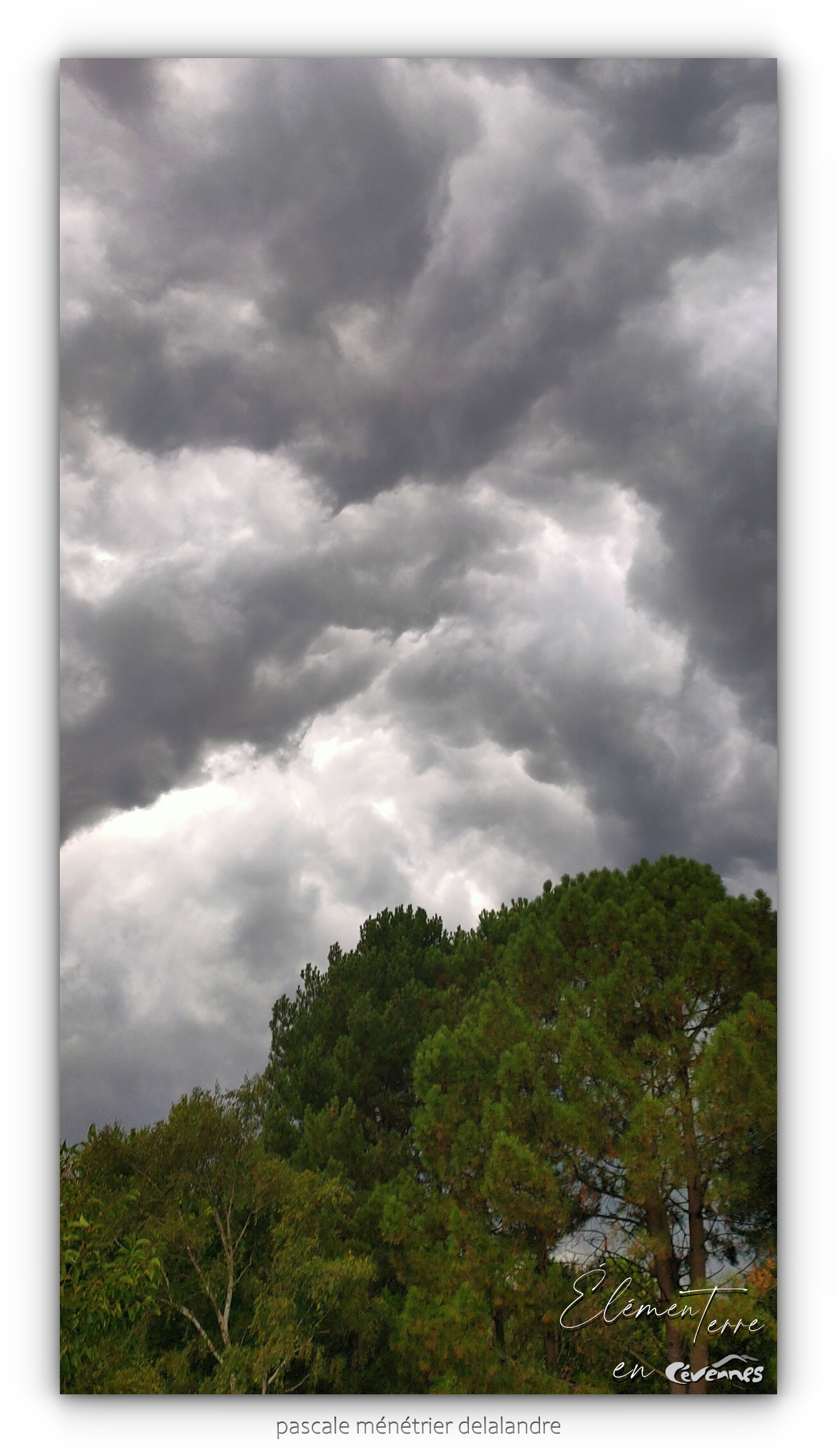 13/08/24 - arrivée de l'orage