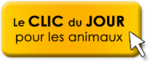 Causes Humaines & Animales