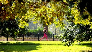 season runners running spring road flowers 