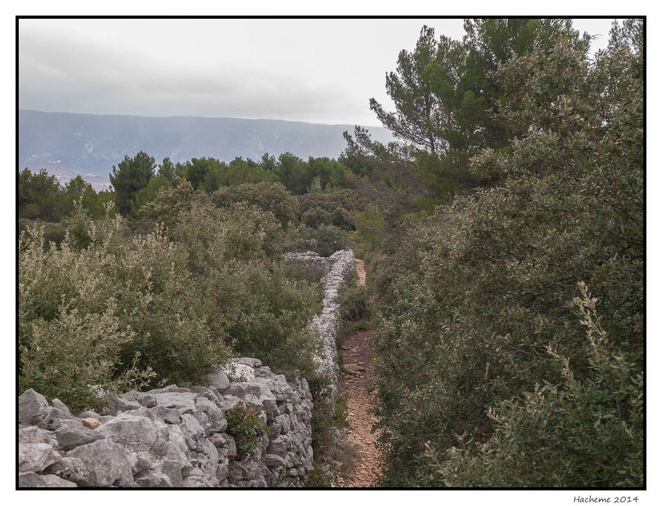 Le mur de la peste