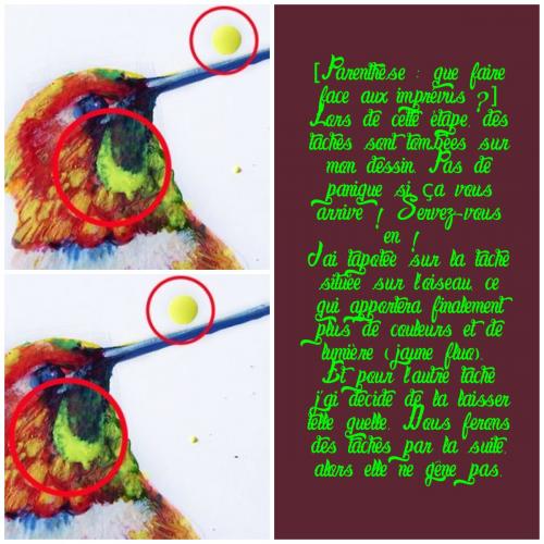 Dessin et peinture - vidéo 3288 : Comment apprendre à dessiner un oiseau coloré ? - technique mixte.