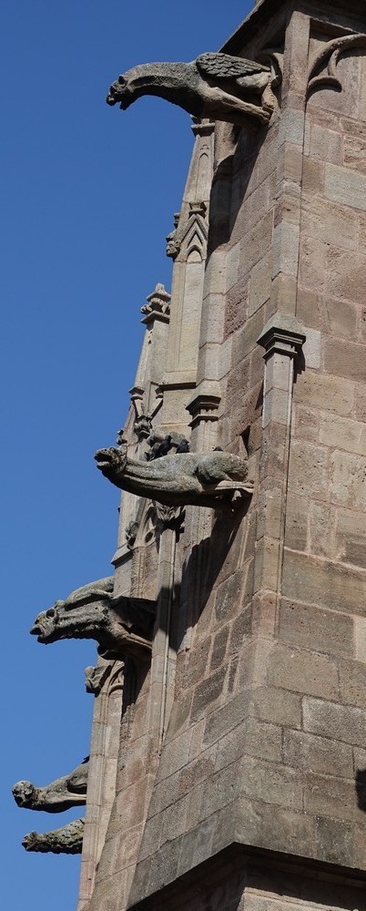 La cathédrale Notre-Dame de l'Assomption de Rodez : les gargouilles...