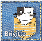 C'est dans la poche - chat - Brigitte
