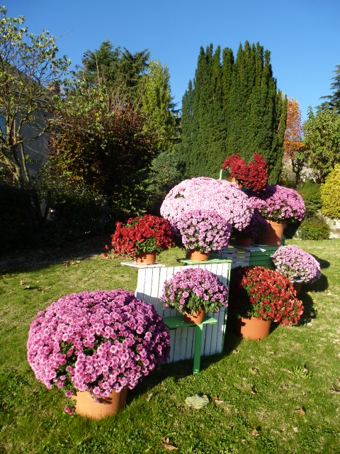 COULEURS D'AUTOMNE A BEAUGENCY