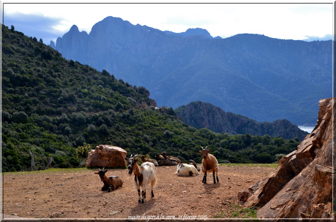 Rencontre sur la route....