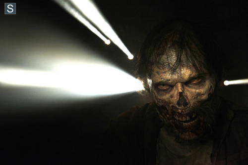 The Walking Dead : AMC commande un pilote pour le spin-off