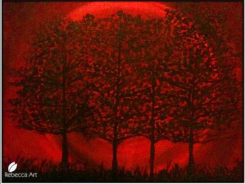 Coucher de soleil dans la Forêt Rouge / Sunset in the Red Forest