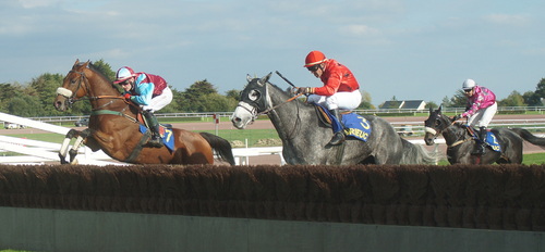 Hippodrome de la Baie Yffiniac - Réunion du 13 octobre 2013