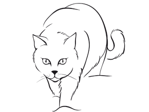 Chats des villes et chats des champs , La par azerboka