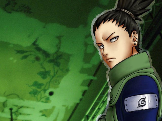 Chapitre 20: Shikamaru a un plan