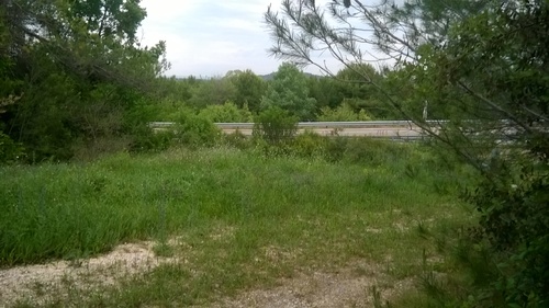 JARDIN DE VILLE, COFIOT ENSEVELIS AUX CHABAUDS