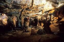 La grotte Cosquer