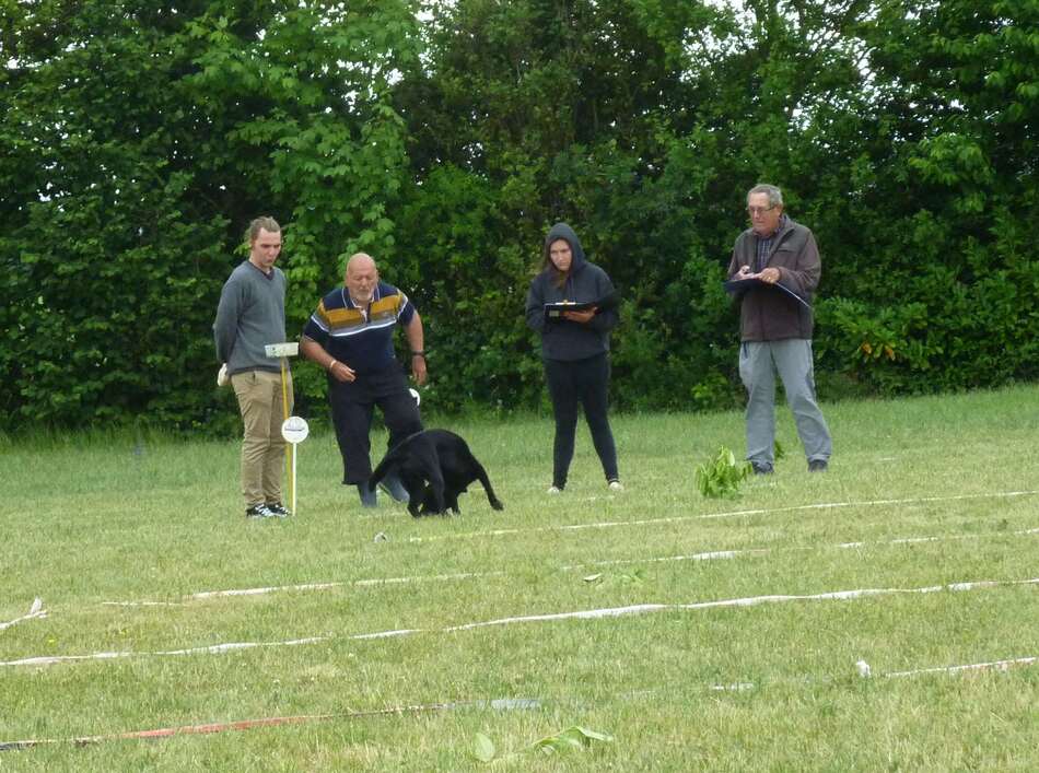 Concours de cavage carrés Siecq.