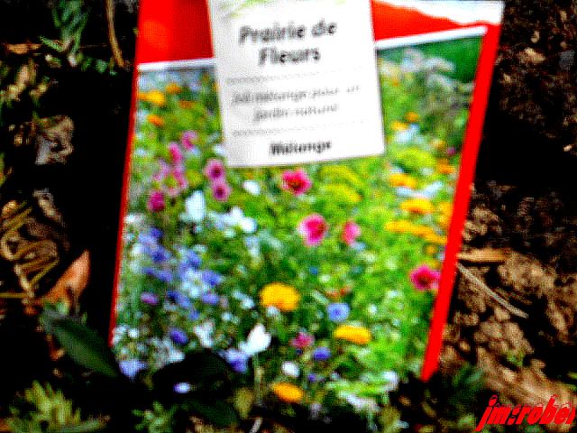 Que fait on au jardin en ce mois d'avril ?
