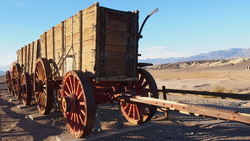20 mules team wagons