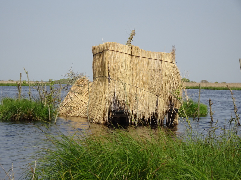 Au fil de l'eau sur les canaux de Brière