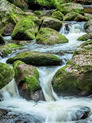 L'eau vive ...