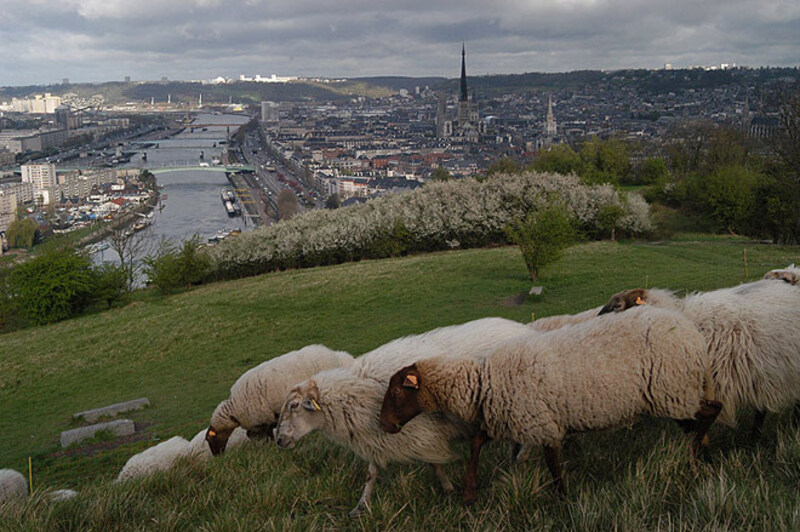 MOURIR SUR SEINE