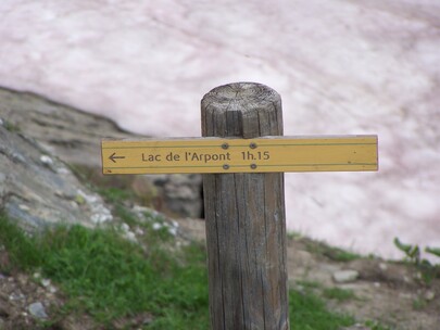 Topo Lac de l'Arpont