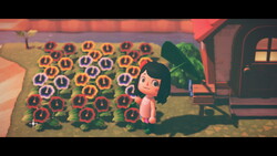 Mrs Swadloon joue à Animal Crossing : épisode 1 