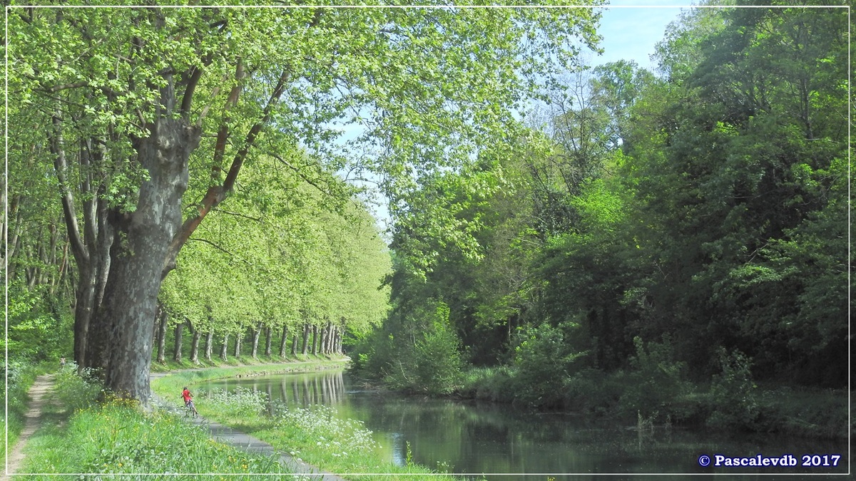 Printemps le long du canal latéral à la Garonne - Avril 2017 - 8/10