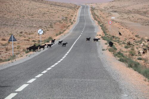 22 mars - Icht - Tafraoute