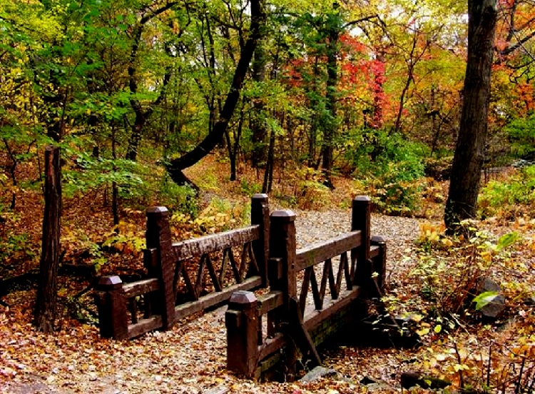 Images du monde : Les couleurs de l’automne