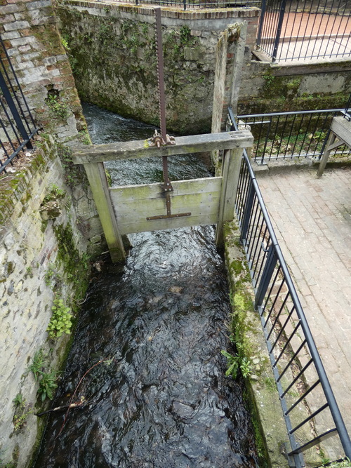 Honfleur