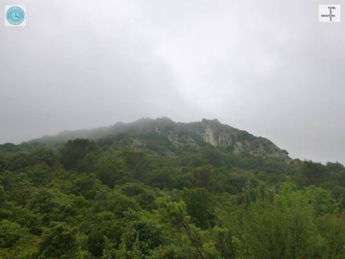 Courir à Saint Victor la Coste 2015