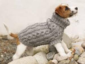 mode fashion dog jaket knititng